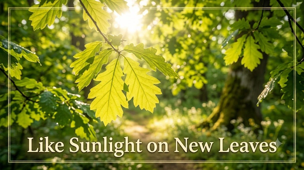 Like Sunlight on New Leaves