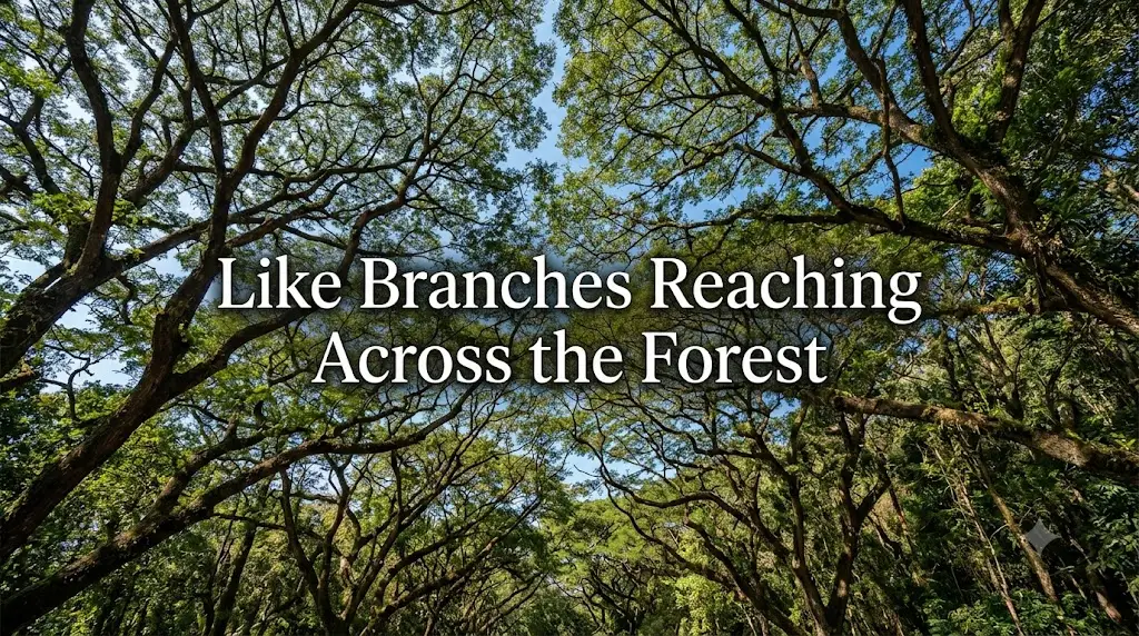 Like Branches Reaching Across the Forest